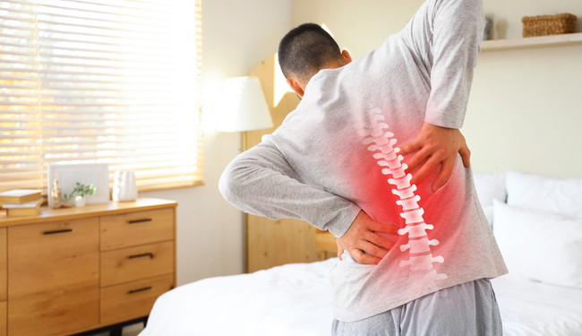 Understanding Back Pain